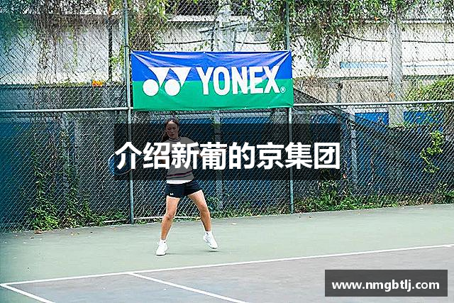 介绍新葡的京集团